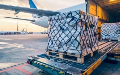 Layanan Sriwijaya Cargo Distribusi Barang ke Seluruh Indonesia